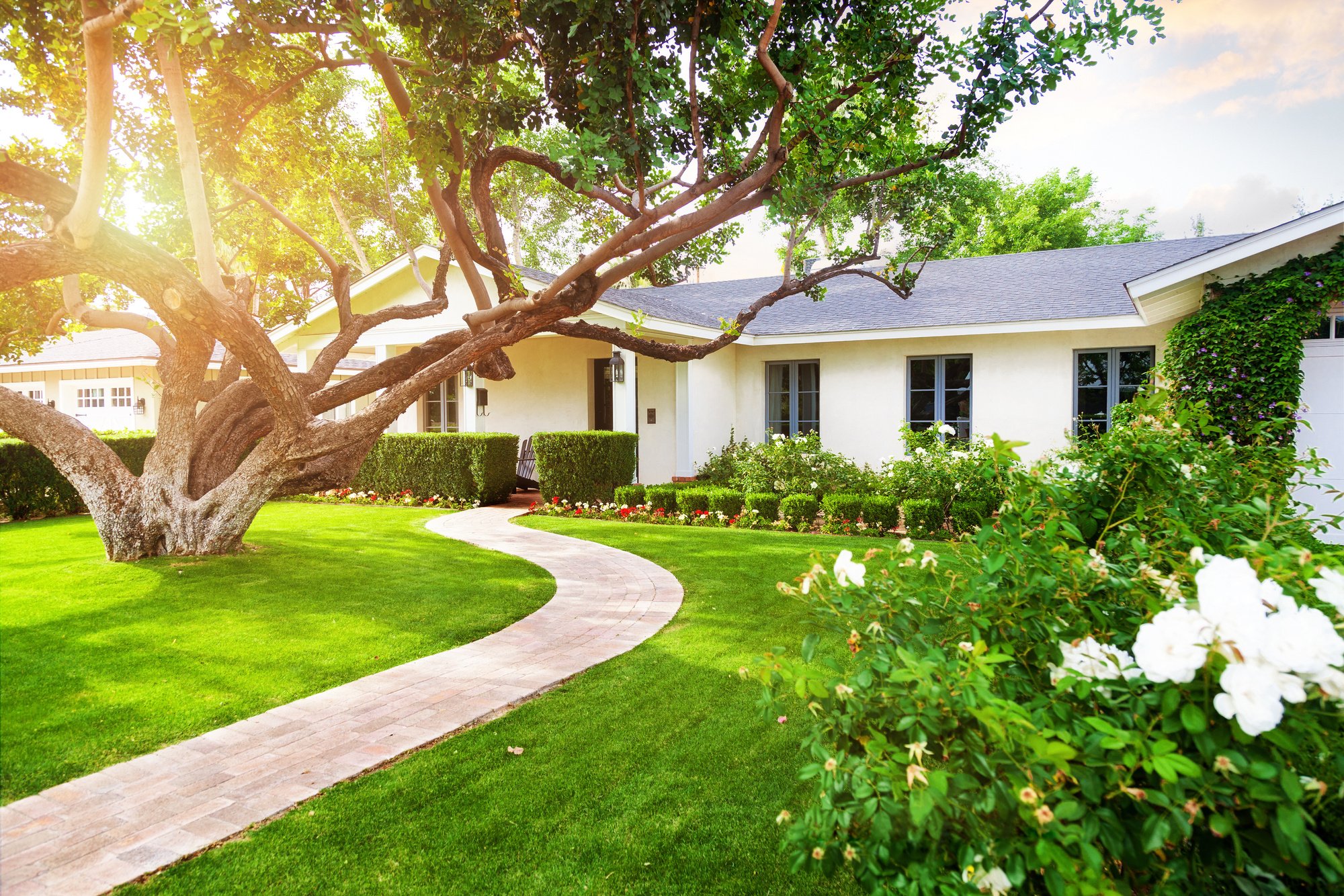 Beautiful Home with Green Grass Yard